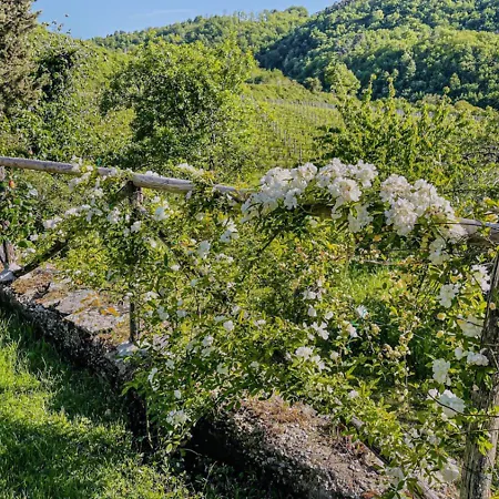 Appartamento Romantic Tuscan Barn With Pool Views Private Terrace Sleeps 2 To 6, Lamole Greve in Chianti